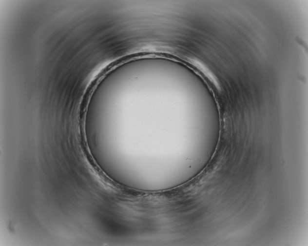 X0000096710972200802051034