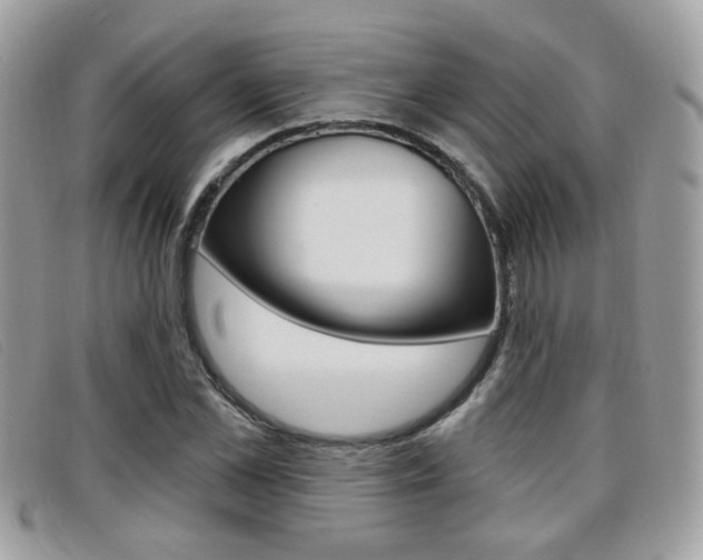 X0000096710973200802051034
