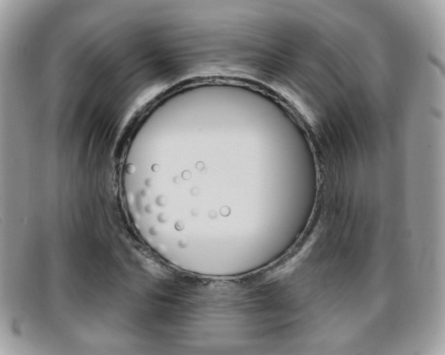 X0000096710974200802051034