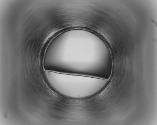 X0000096710975200802051034