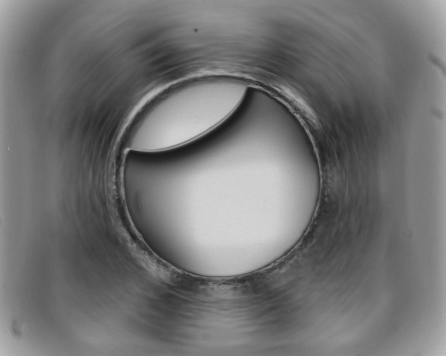 X0000096710976200802051034