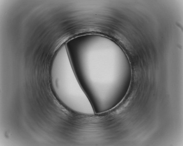 X0000096710977200802051033