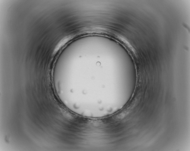 X0000096710978200802051033