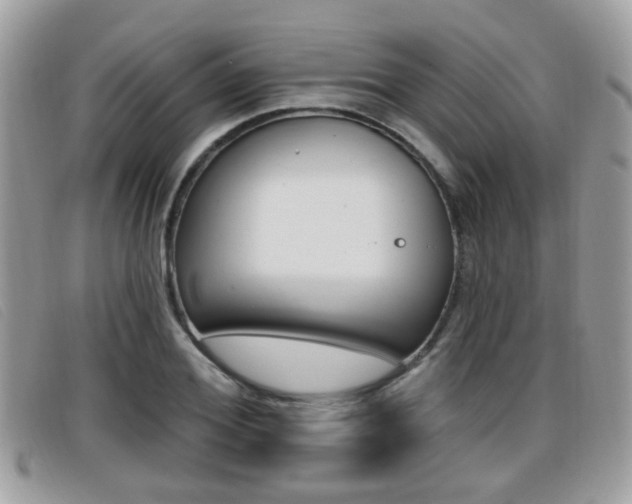 X0000096710980200802051033