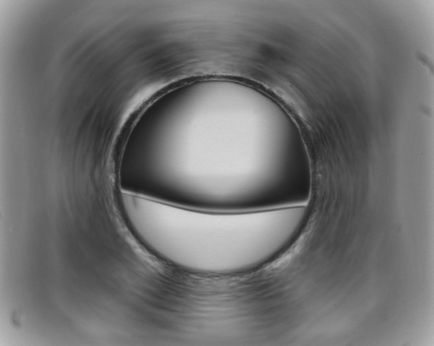 X0000096710981200802051033