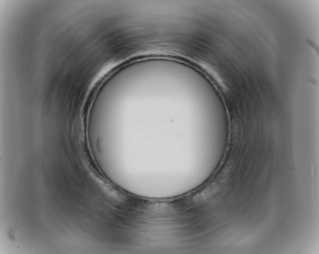 X0000096710982200802051033