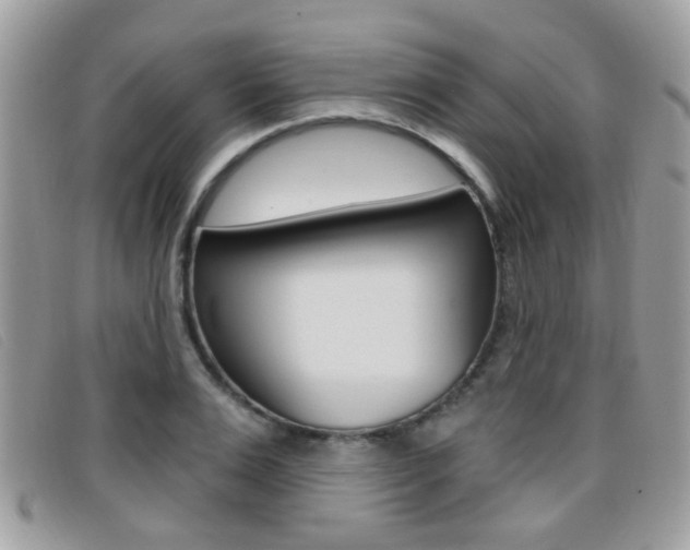 X0000096710983200802051033