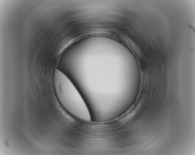 X0000096710985200802051033