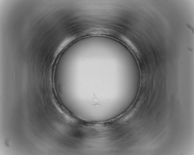 X0000096710986200802051033