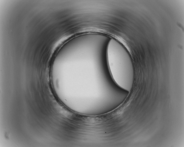 X0000096710987200802051033