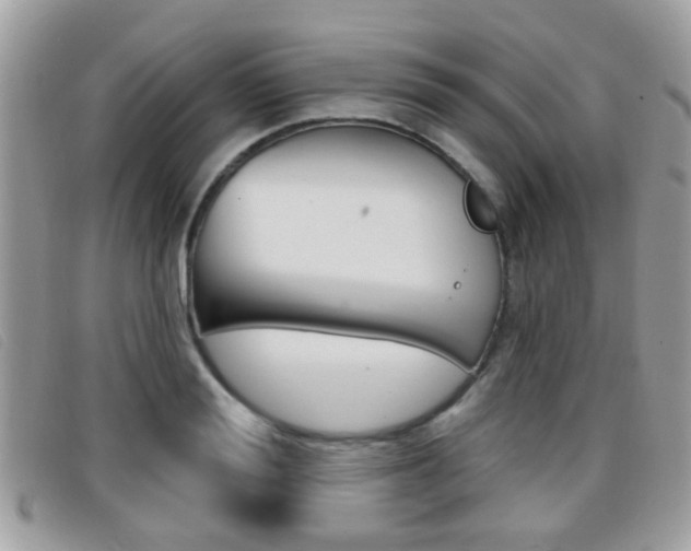 X0000096710988200802051033