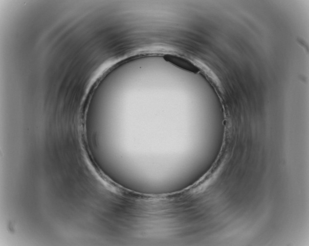 X0000096710989200802051033