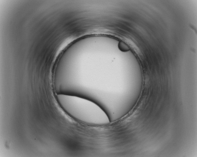 X0000096710990200802051033
