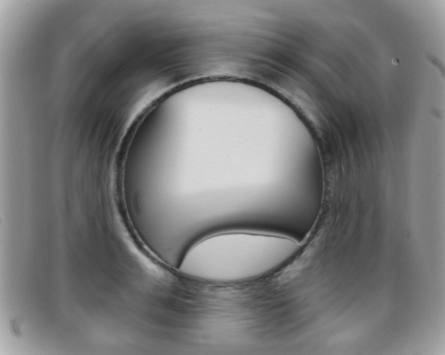 X0000096710991200802051033