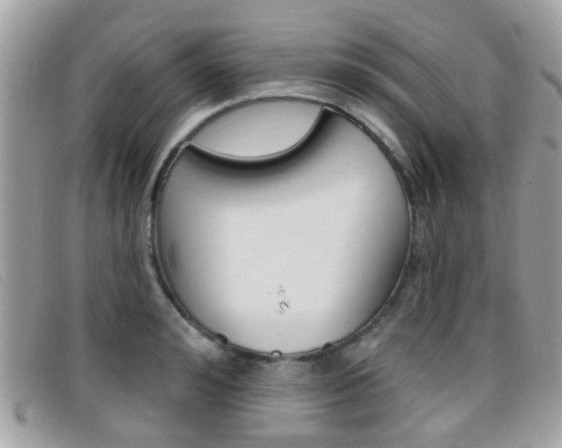 X0000096710992200802051033