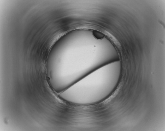X0000096710993200802051033