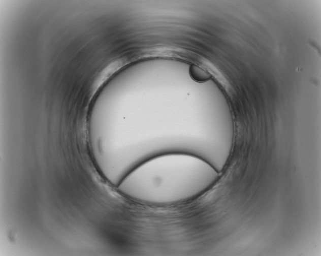 X0000096710994200802051033