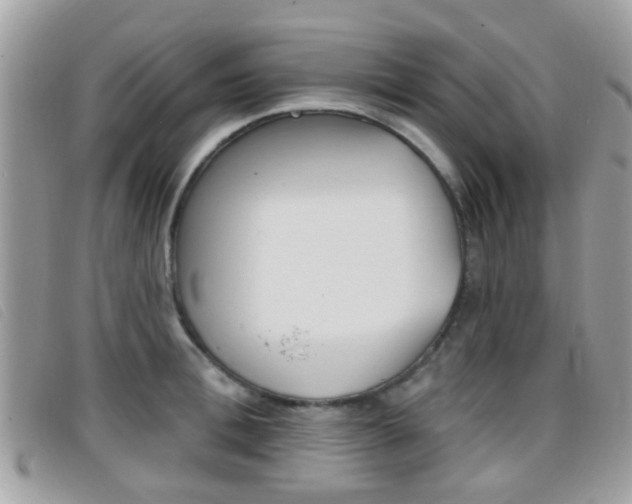 X0000096710996200802051033