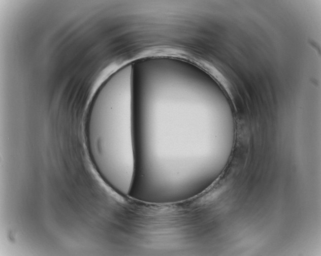 X0000096710997200802051033