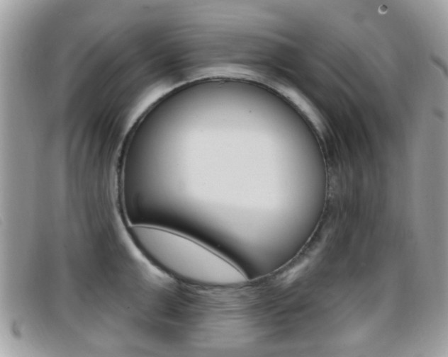 X0000096710999200802051033