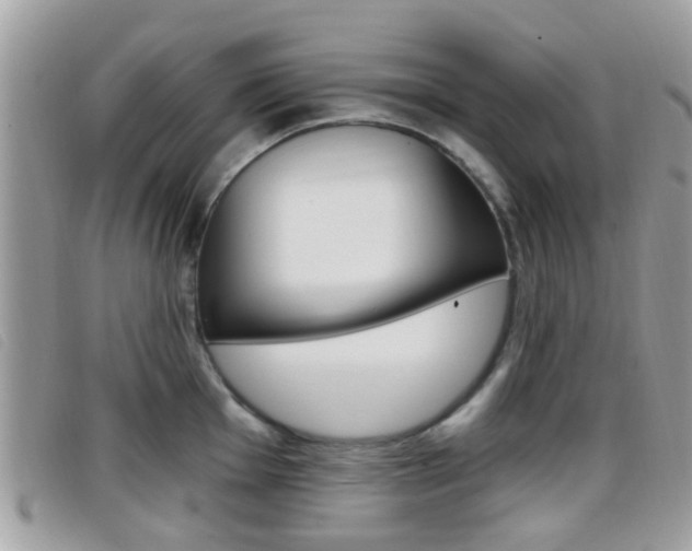 X0000096711001200802051033