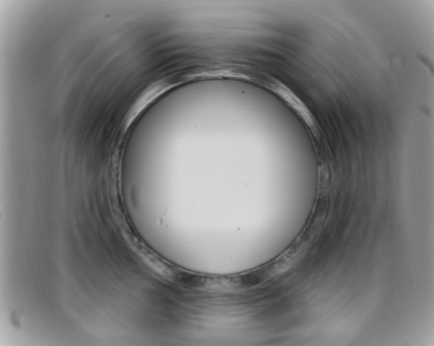 X0000096711002200802051033