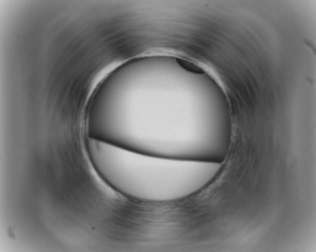 X0000096711003200802051033