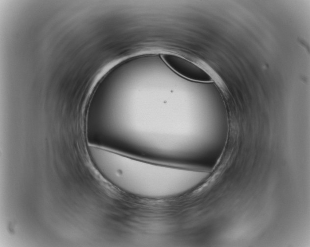 X0000096711004200802051033