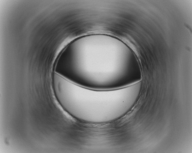 X0000096711005200802051033