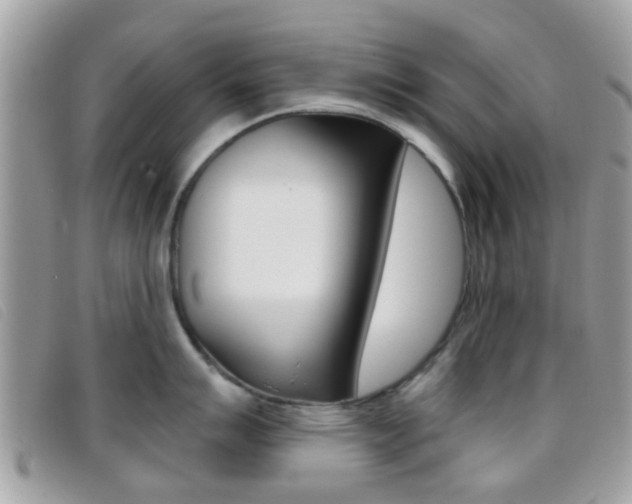 X0000096711007200802051033