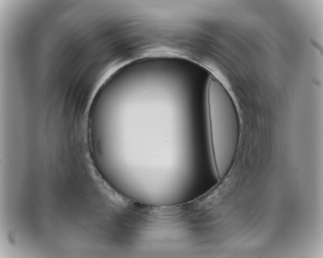 X0000096711008200802051033