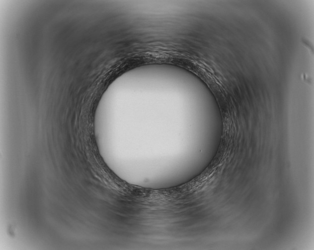 X0000096711009200802051032