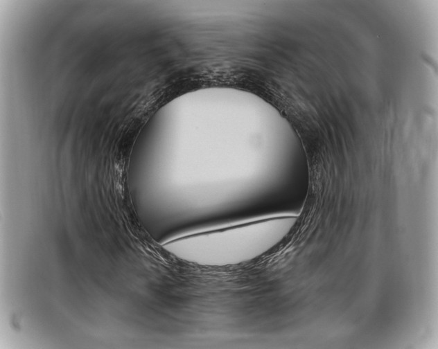 X0000096711010200802051032