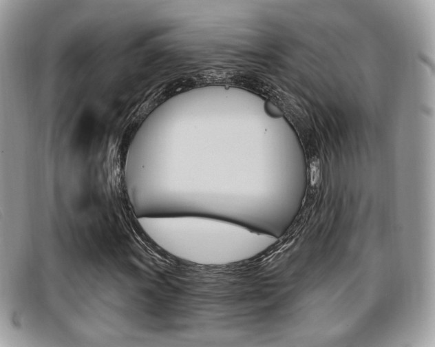 X0000096711011200802051032