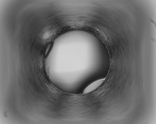 X0000096711012200802051032