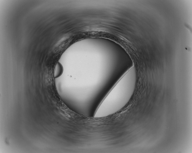 X0000096711014200802051032