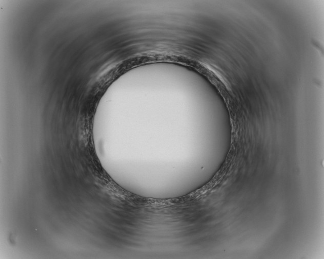X0000096711015200802051032