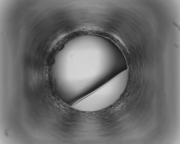 X0000096711016200802051032