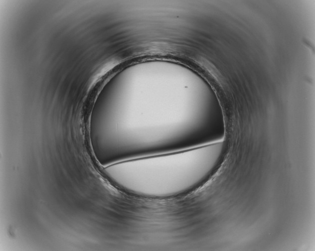 X0000096711018200802051032