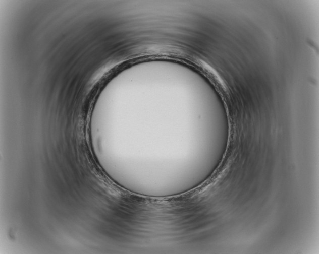 X0000096711019200802051032