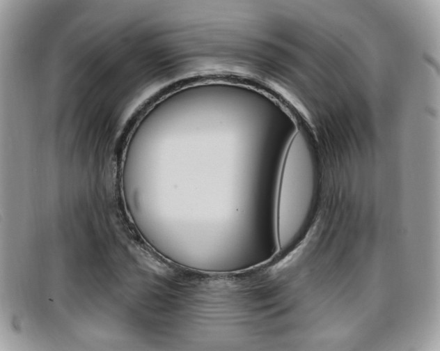 X0000096711021200802051033
