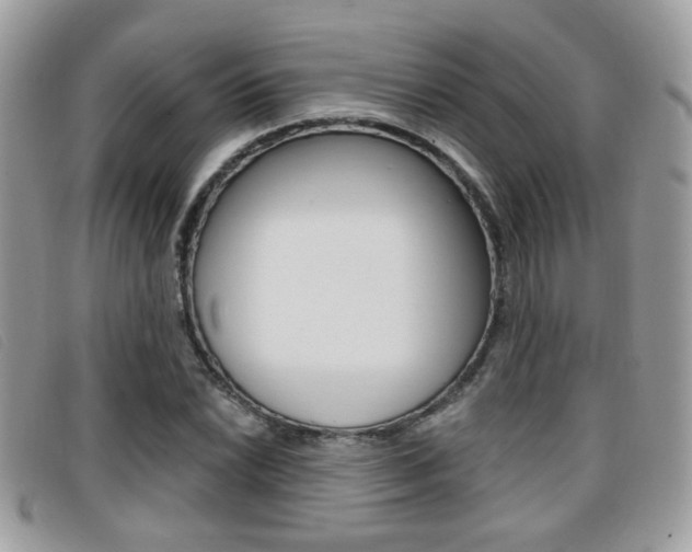 X0000096711022200802051033