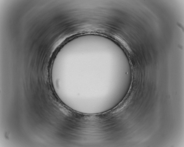 X0000096711023200802051033