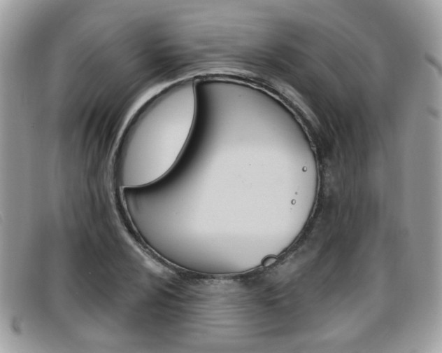 X0000096711024200802051033