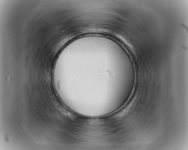 X0000096711025200802051033