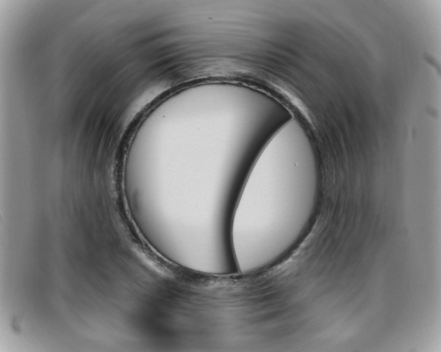 X0000096711026200802051033
