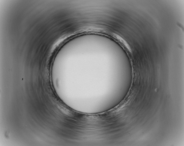 X0000096711027200802051033