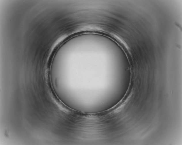 X0000096711029200802051033