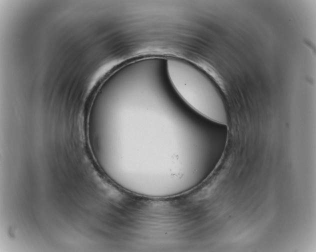 X0000096711030200802051033