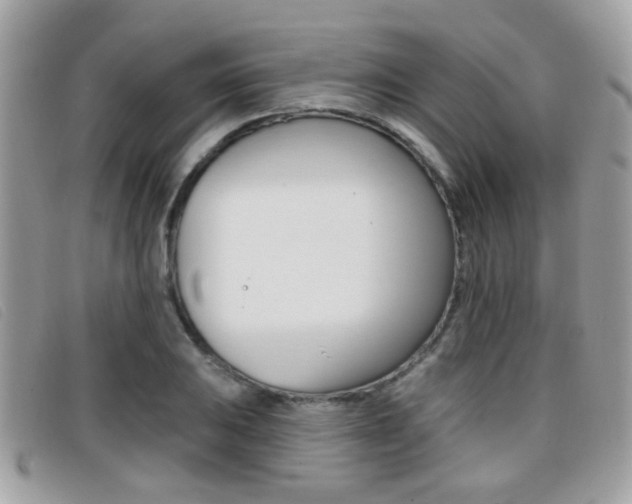X0000096711031200802051033